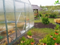 EcoSilder ES 4M x 14M 6/8/10mm