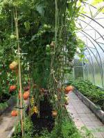 EcoSlider ES 3M x 16M 6/8/10mm