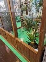 Houten Kas Arbovista 2.0 x 2.70 x 2.57m