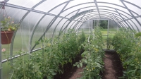 Calla  3x6m (18m²)