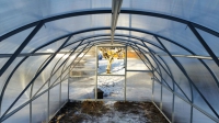 Calla  3x6m (18m²)