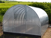 Gaura 3x6m 6mm poly