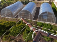 Agrimonia MAX 4x4m (16m2) 6mm